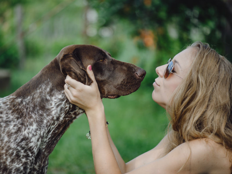 10 Things Only People With Rescue Dogs Will Understand  