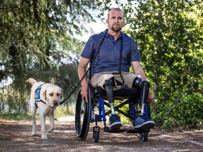 <em>Veterans can benefit greatly by having a trained service dog (American Kennel Club)</em>
