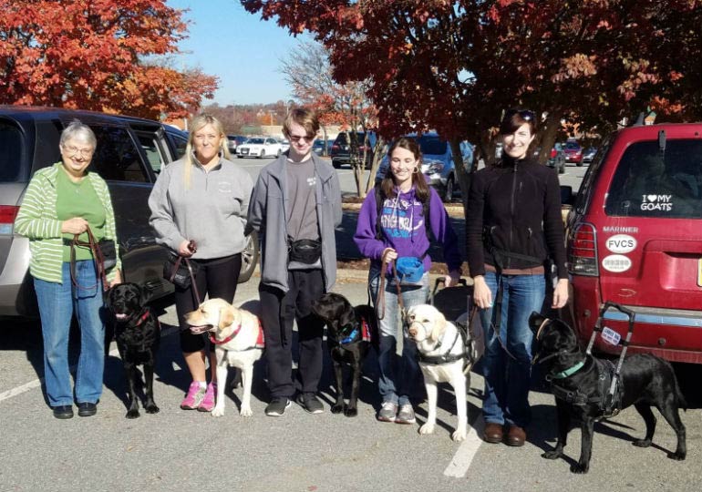 Puppies American Kennel Club
