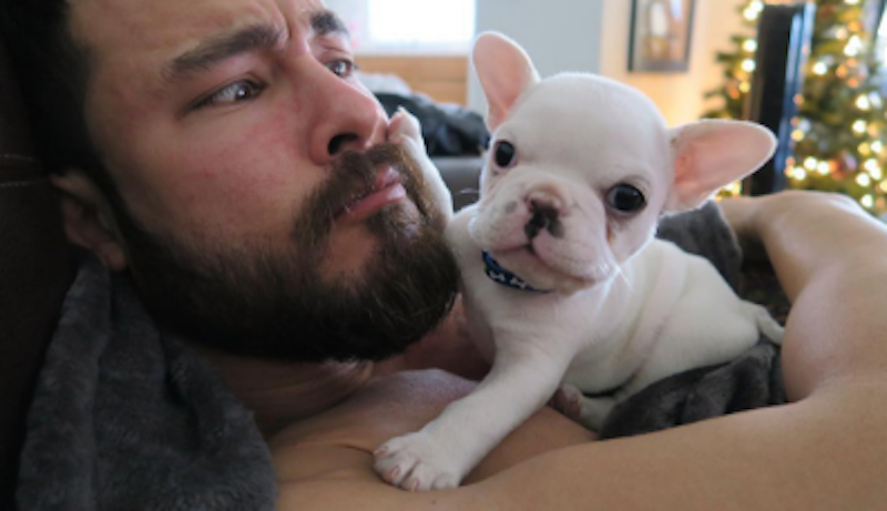 the cutest french bulldog