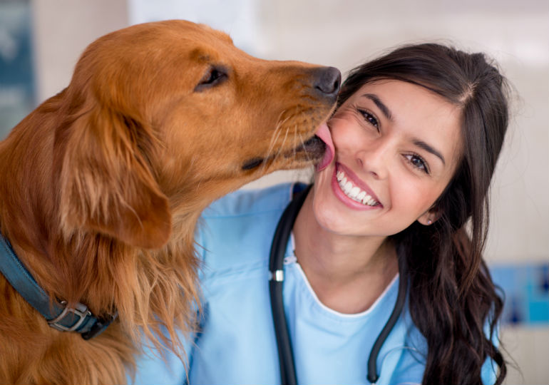 5 Reasons Why You Should Become A Vet Tech American Kennel Club