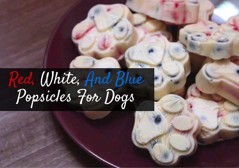 [RECIPE] Red, White, And Blue Yogurt Popsicles For Dogs American