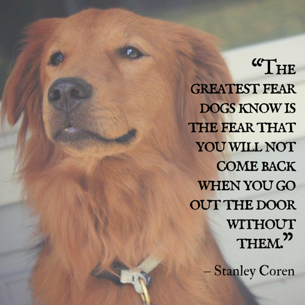 Coren dog quote