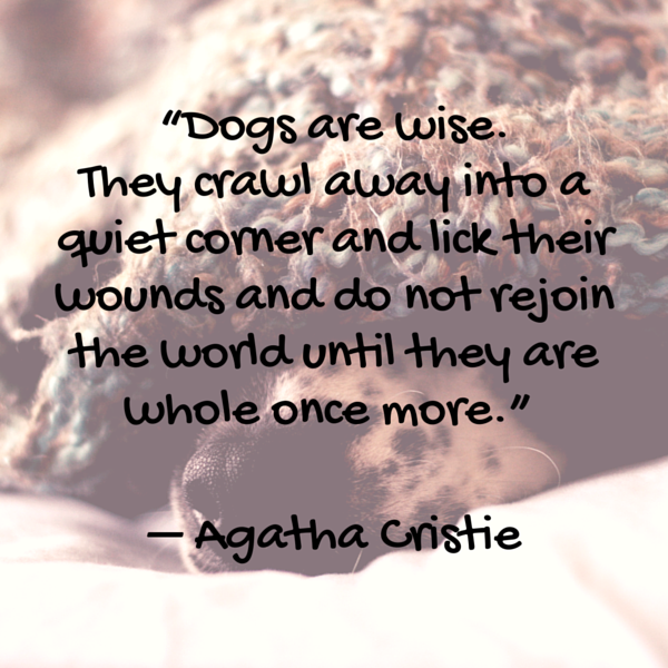 Cristie Dog Quote