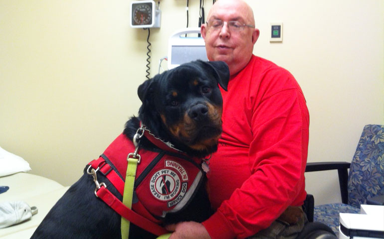 Rottweiler 2024 service dog