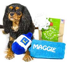 Hanukkah Dog Gift Pack