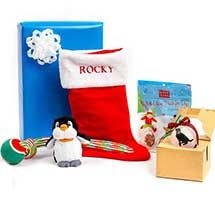 Christmas Gift Pack large pack