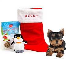 Christmas Dog Gift Pack