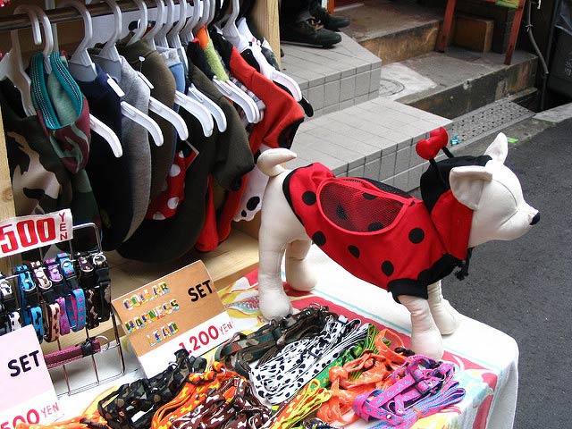 Dog clothing shopping