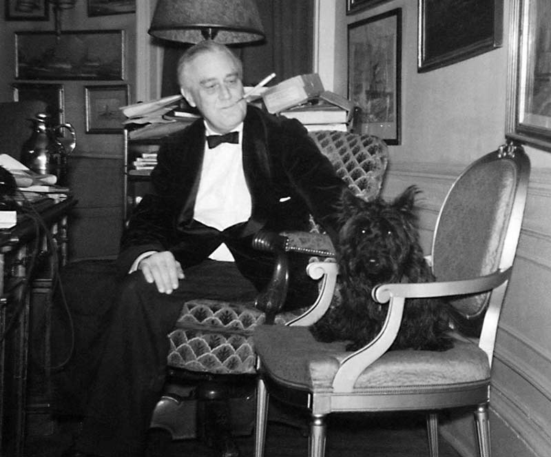 Franklin Delano Roosevelt with Fala the Scottish Terrier