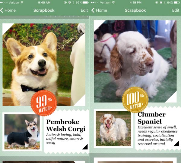 how to find out your dog breed app