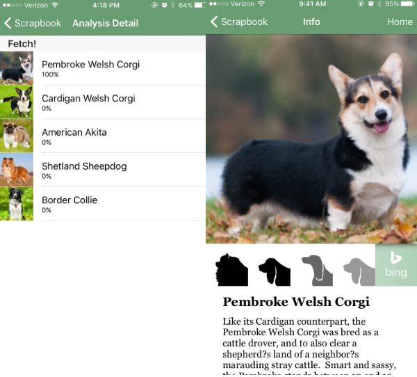 how to find out your dog breed app