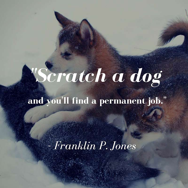 dog quote jones 1