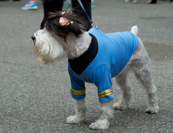 halloween dog parade 2