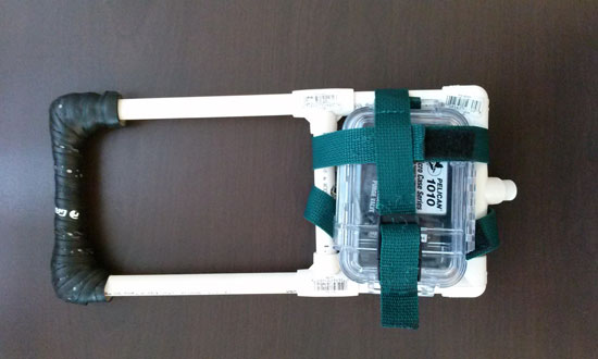 Harness prototype