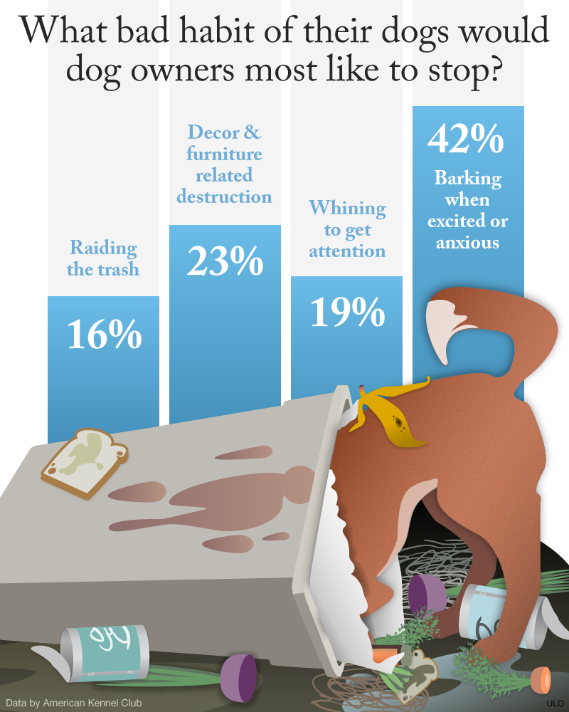 bad behavior inforgraphic 