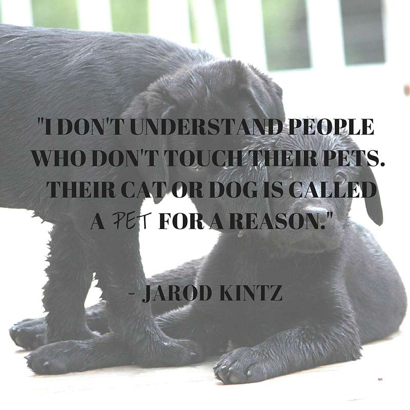 Kintz quote