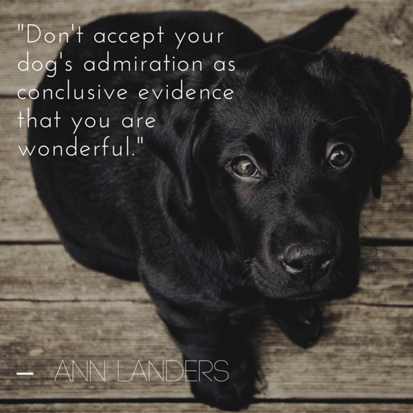 Ann Landers Dog Quote