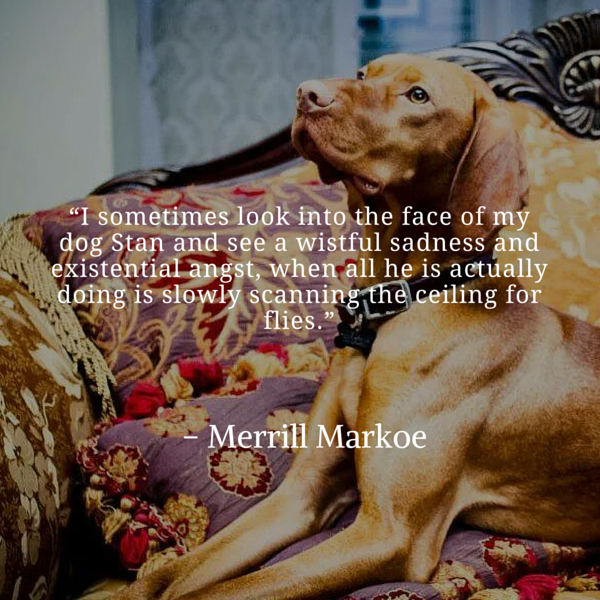 Markoe dog quotes