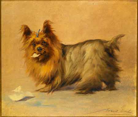 Yorkie Painting