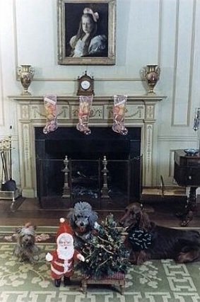 Richard Nixon's dogs in the White House