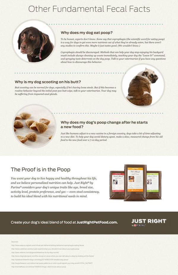 Fecal Scoring Chart