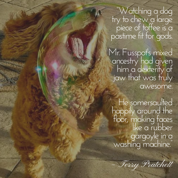 Pratchett dog quote