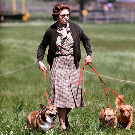 Queen and Corgis