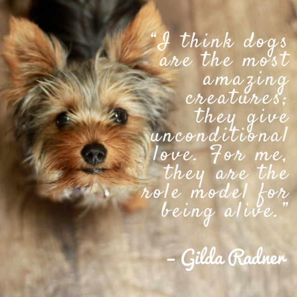 unconditional dog love quotes