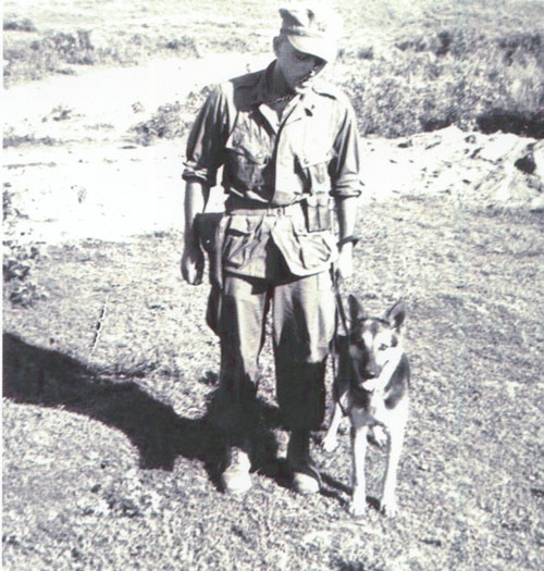 Dogs of the Vietnam War - Vietnam Veterans Memorial Fund