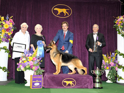 gsd wkc 2016