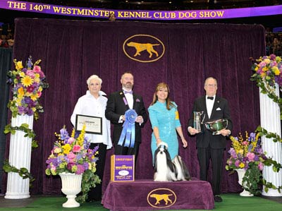 Shih Tzu wkc 2016