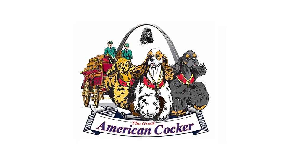 belgian sheepdog national specialty 2018 spotlight on the specialties american spaniel club american belgian sheepdog national specialty 2018 spotlight on the specialties american spaniel club american