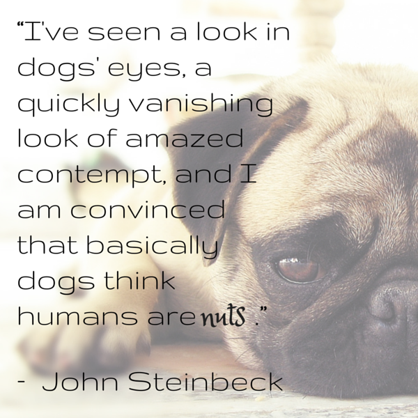 Steinbeck Dog Quote