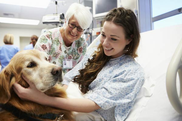 Family with dog in hospital