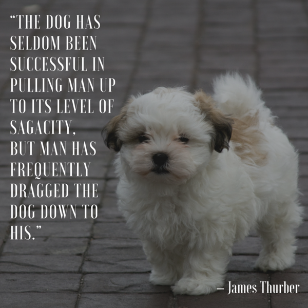 James Thurber Dog Quote