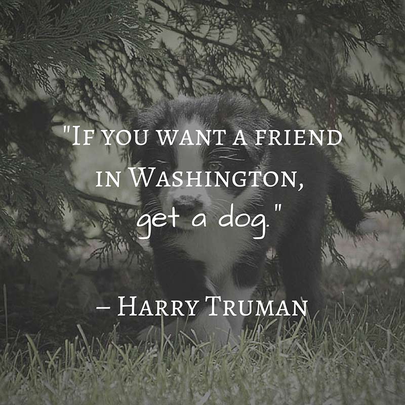 Truman quote