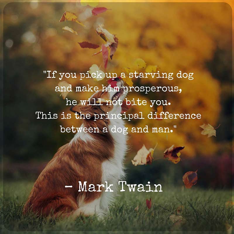 what did mark twain say about dogs