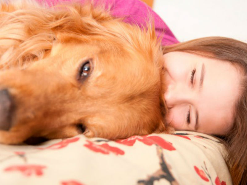 How to make a dog’s bond with the owner stronger?