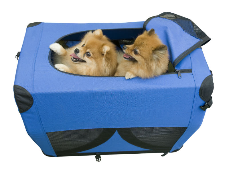 Puppy Pet Carrier